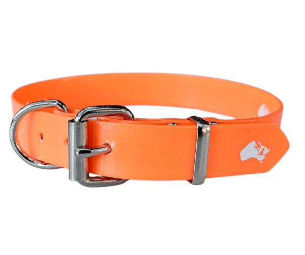 Working Dog Collar PVC Stainless Steel 25mm