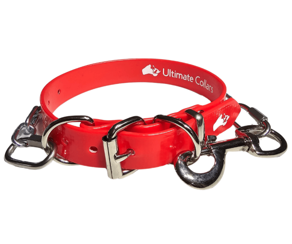 Working Dog Collar & Tie Out PVC 25mm